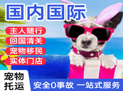 大庆机场物流国际宠物托运 【国
